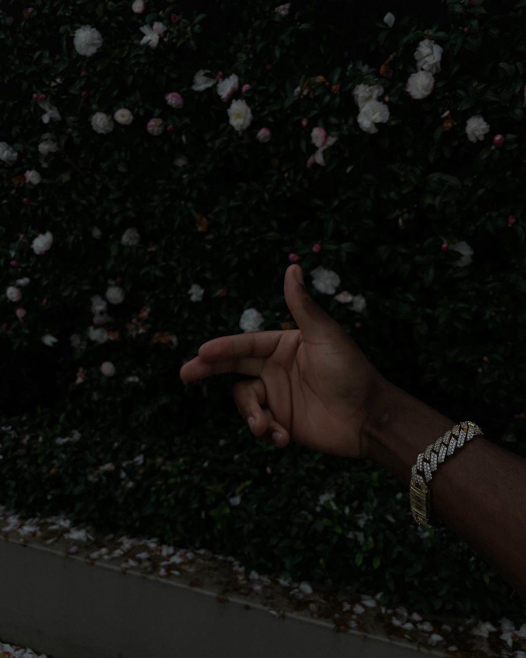 Human arm and hand featuring a woven bracelet against a floral bush with dark lighting, creating a captivating visual composition.
