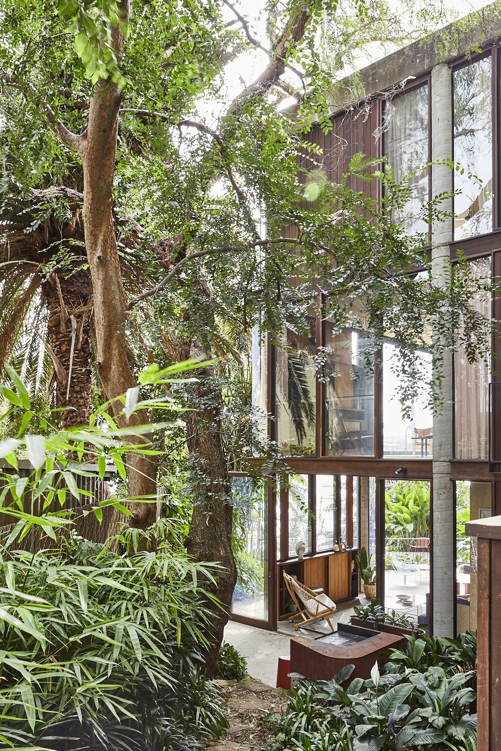 Exterior shot of a modern house with floor-to-ceiling windows surrounded by lush greenery and tall trees creating a serene setting.