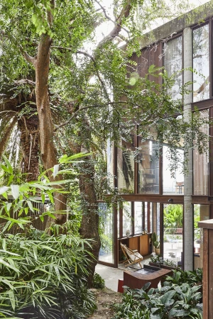 Exterior shot of a modern house with floor-to-ceiling windows surrounded by lush greenery and tall trees creating a serene setting.