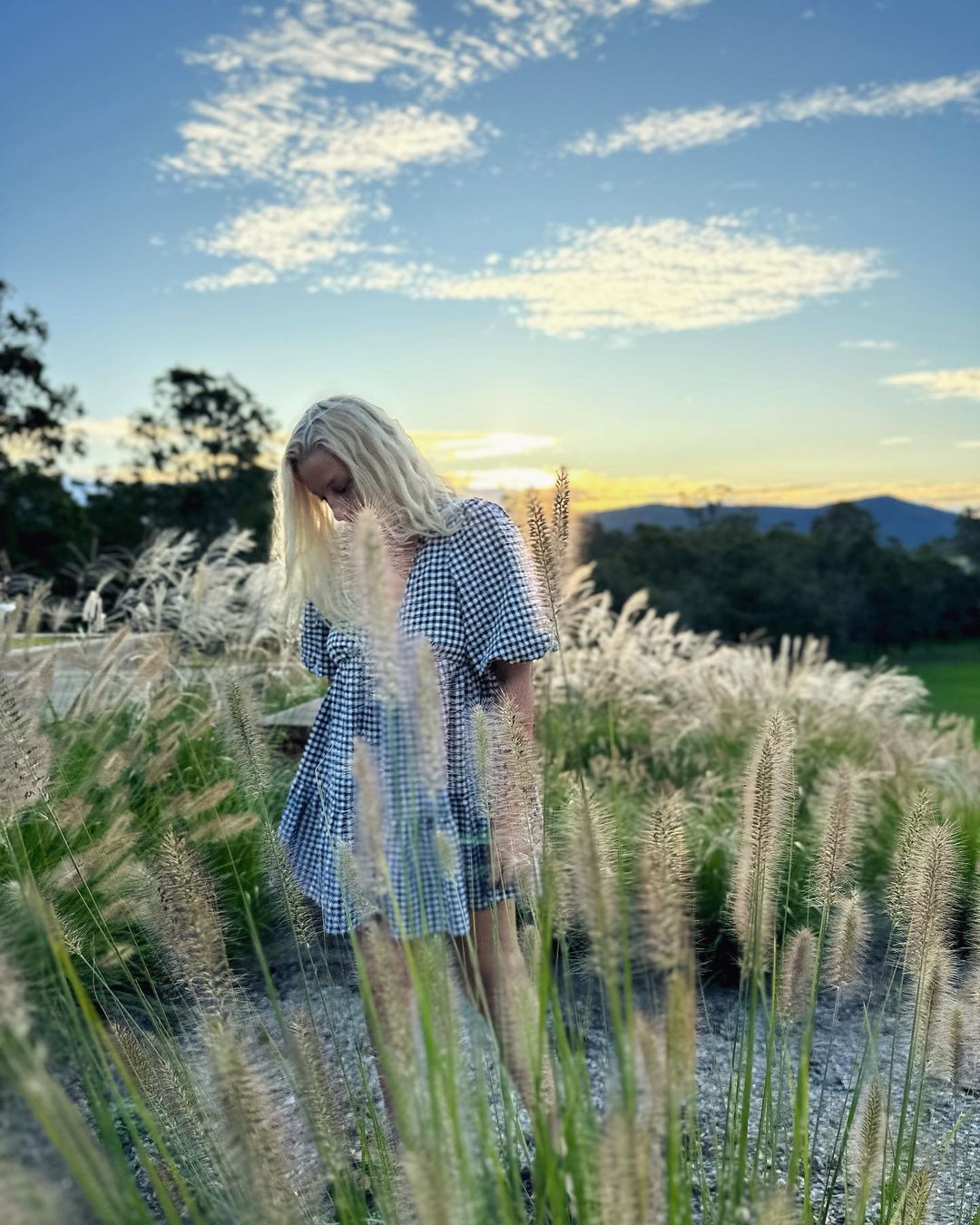 A woman with blonde hair is standing in a field of tall grass at sunset, wearing a gingham dress and looking down.