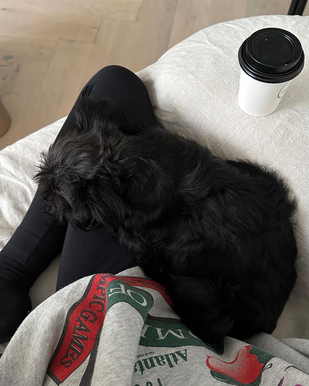 A black dog relaxes on a person's lap wearing a sweatshirt, with a coffee cup resting on a white surface beside them indoors.