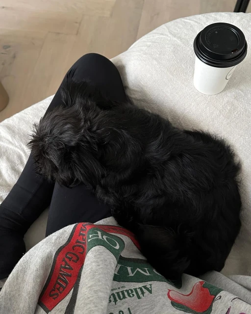 A black dog relaxes on a person's lap wearing a sweatshirt, with a coffee cup resting on a white surface beside them indoors.
