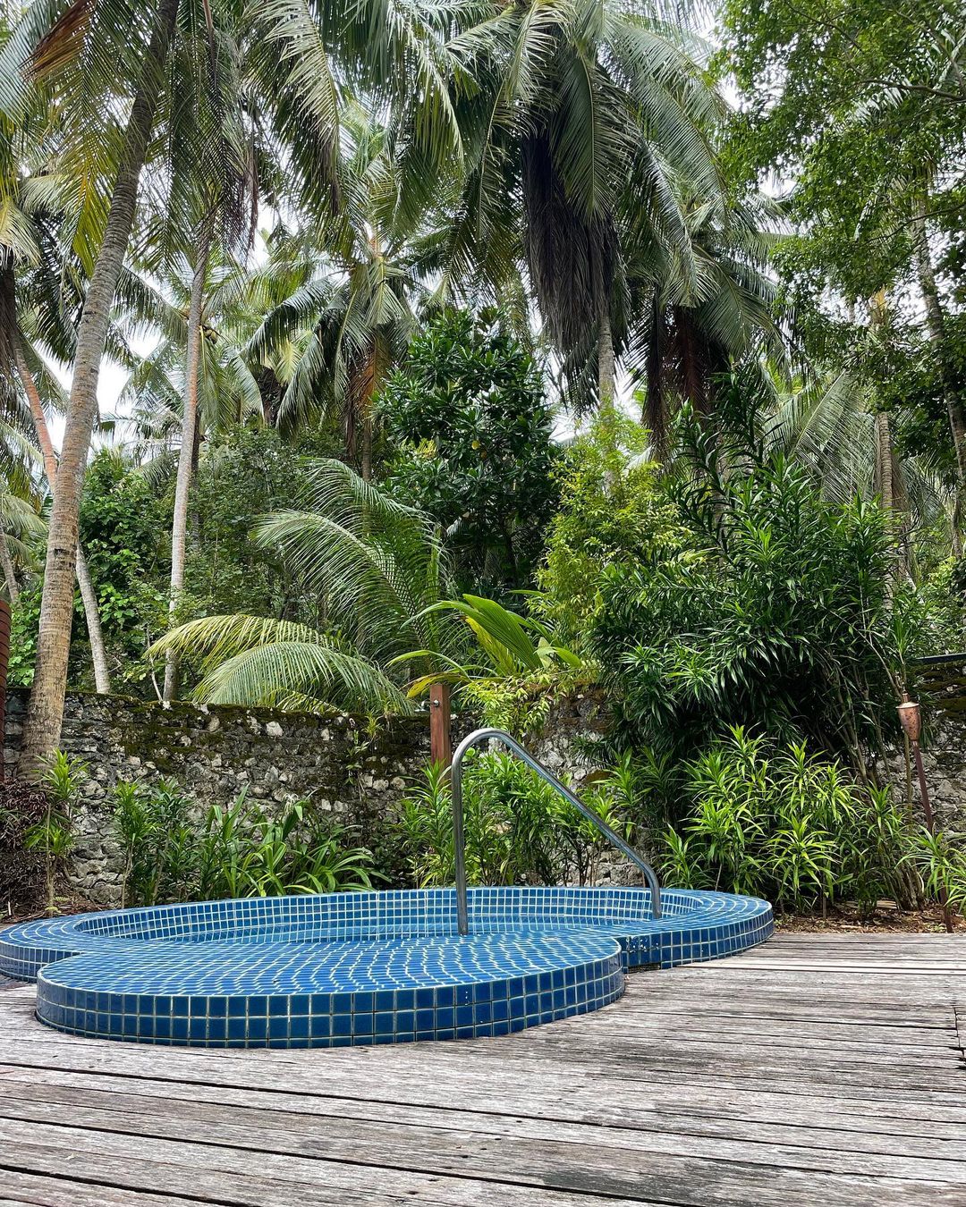 Elevated outdoor view of blue-tiled plunge pool amid tropical foliage and tall palm trees, showcasing natural spa-like setting.