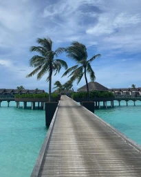 A straight wooden boardwalk extending over turquoise ocean water flanked by palm trees under a cloudy sky.