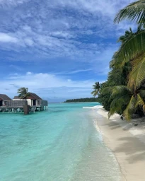 Tropical beach with white sand, turquoise water, overwater bungalows, and leaning palm trees under a bright blue sky.