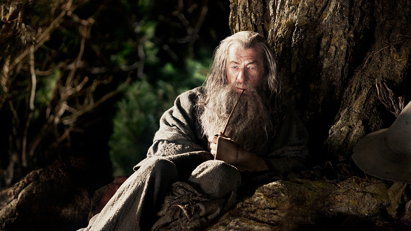 Elderly wizard with long grey hair and beard holding a pipe seated against a tree trunk.