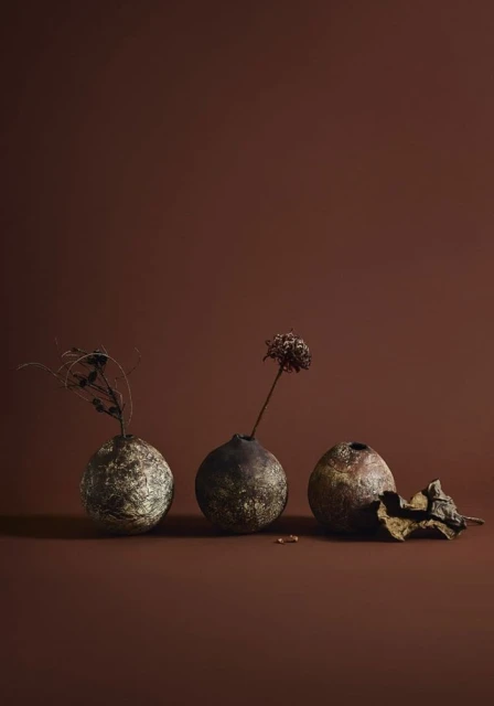 Three spherical vases hold dried floral arrangements against a solid brown background, creating a moody, artistic still life.