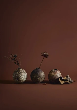 Three spherical vases hold dried floral arrangements against a solid brown background, creating a moody, artistic still life.