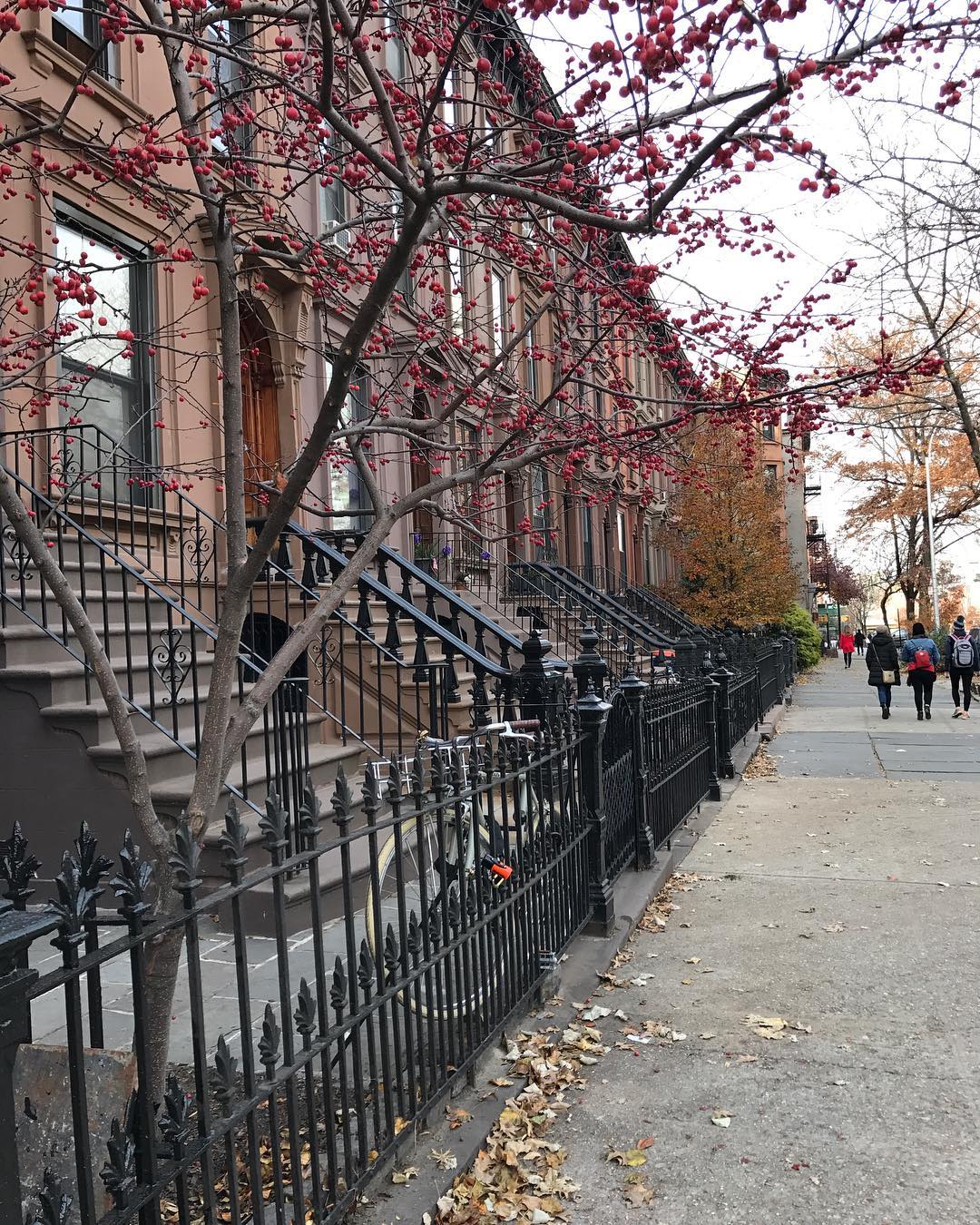Urban scene featuring a row of brownstone houses with bare trees and a sidewalk with people walking in the background on an overcast day.