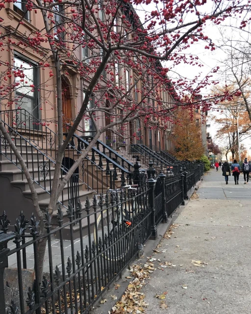 Urban scene featuring a row of brownstone houses with bare trees and a sidewalk with people walking in the background on an overcast day.