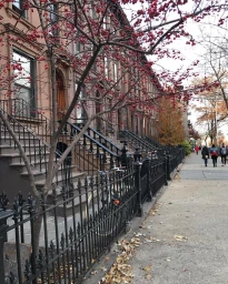 Brownstone row houses along a city sidewalk with bare trees bearing small red berries and pedestrians walking in the distance.