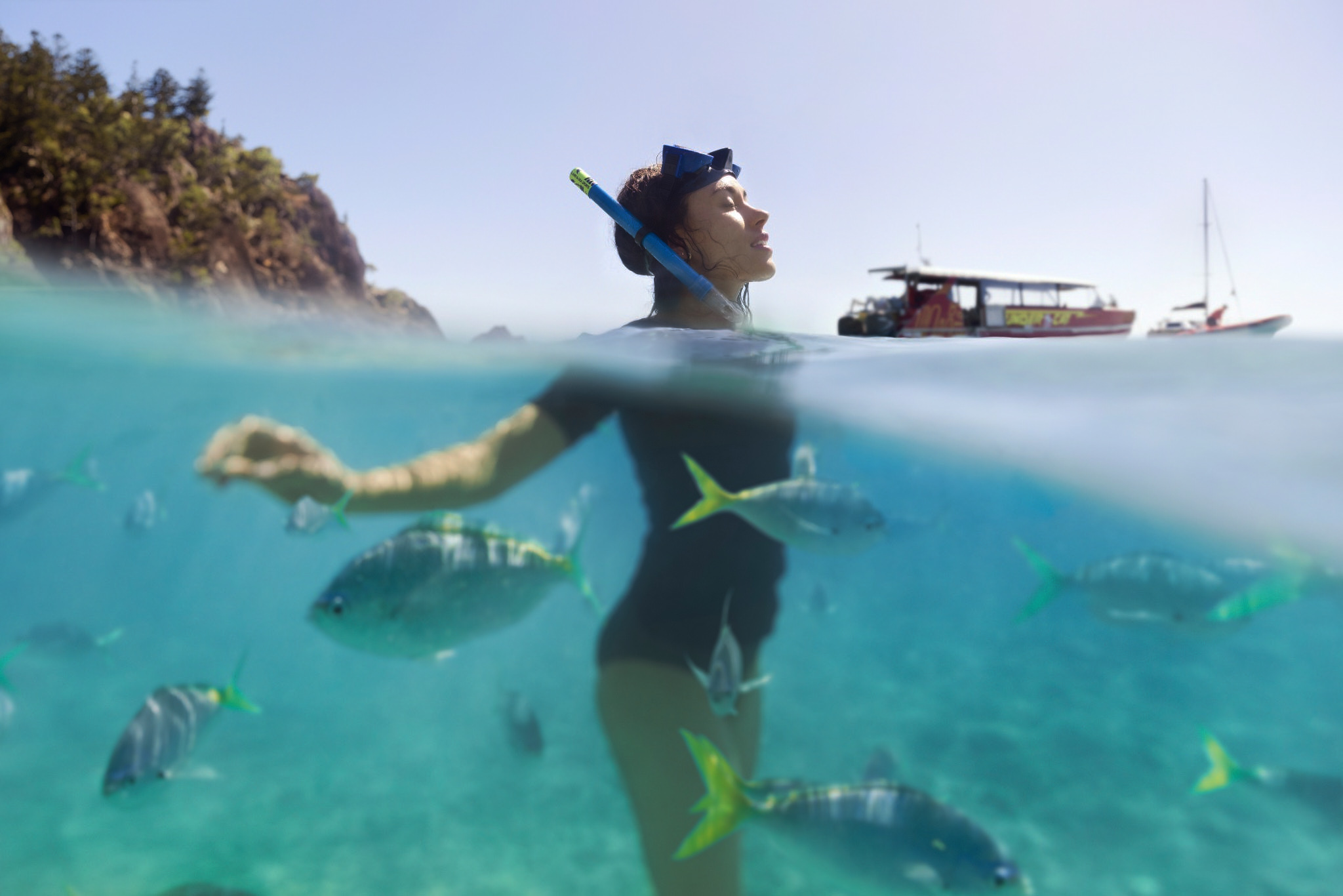 A woman in a wetsuit and snorkel mask stands in turquoise water filled with fish, with a forested island and tour boats in the background.