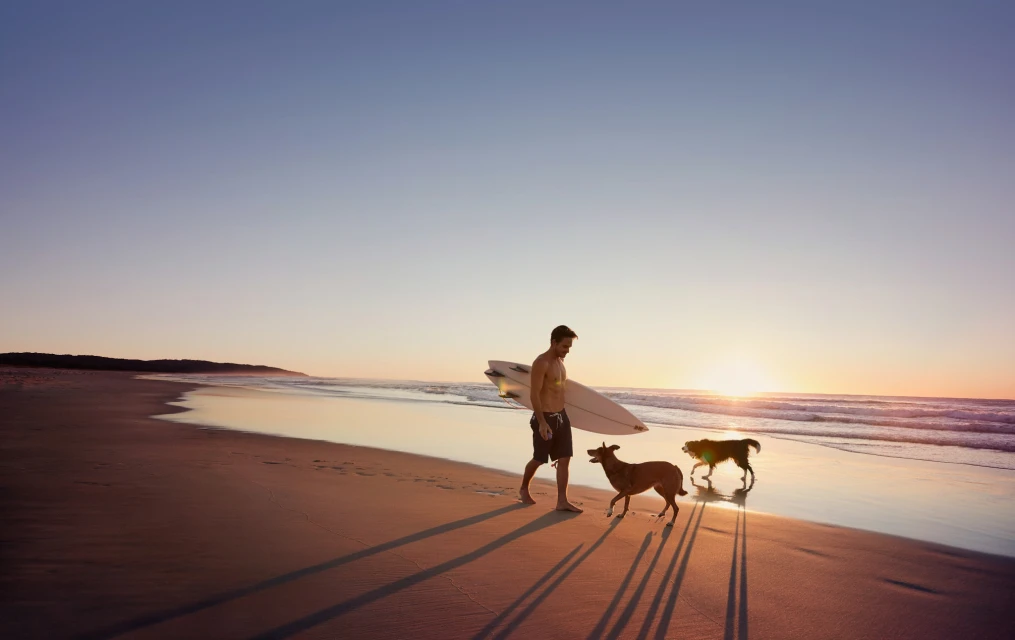 Man carries surfboard along sandy beach with dogs at sunset. Sea and distant headland visible under clear sky. Coastal lifestyle.
