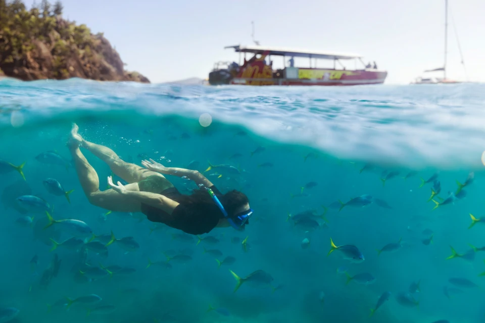 Woman snorkeling in blue ocean water among school of fish, with a boat and island in background on a sunny day, underwater shot.