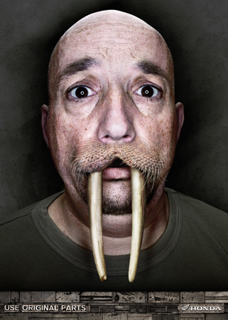 A close-up portrait of a bald man with a walrus face filter effect, with ivory tusks hanging from his mouth, set against a dark background.