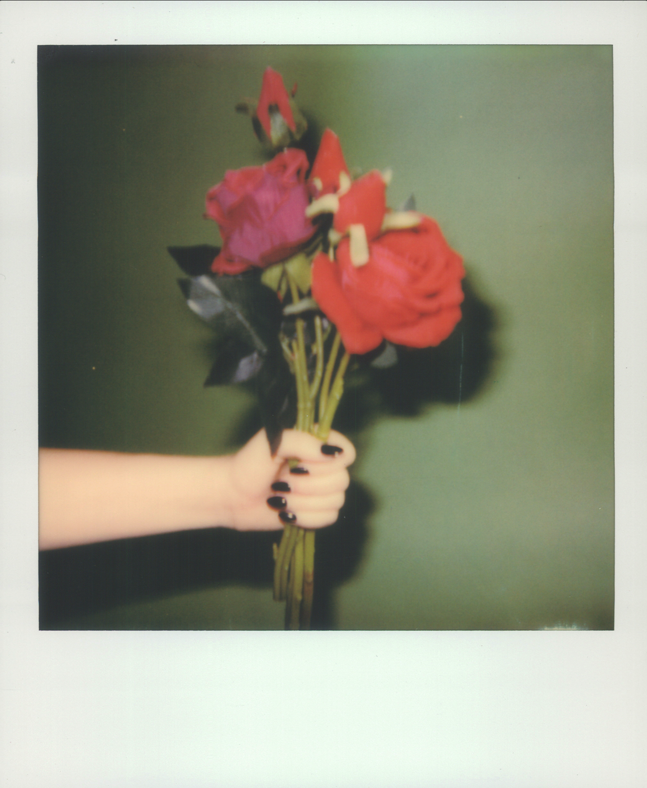 Close-up of a hand holding a bouquet of roses against a green background, captured with a polaroid effect and a shallow depth of field.