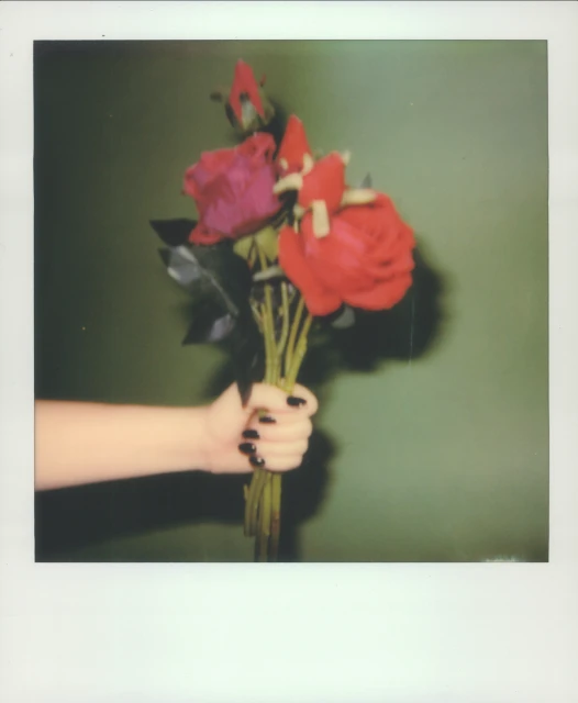 Close-up of a hand holding a bouquet of roses against a green background, captured with a polaroid effect and a shallow depth of field.