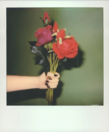 Close-up of a hand holding a bouquet of roses against a green background, captured with a polaroid effect and a shallow depth of field.