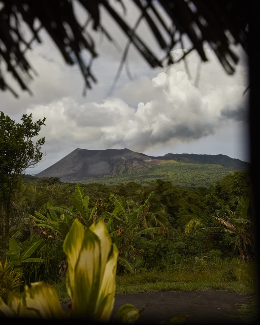 Scenic view of a volcanic mountain and lush green forest landscape under a cloudy sky, framed by a thatched roof.
