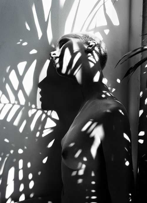 Monochromatic portrait of a bare-chested person with short hair in profile, silhouetted by leafy shadows against a stark white wall.