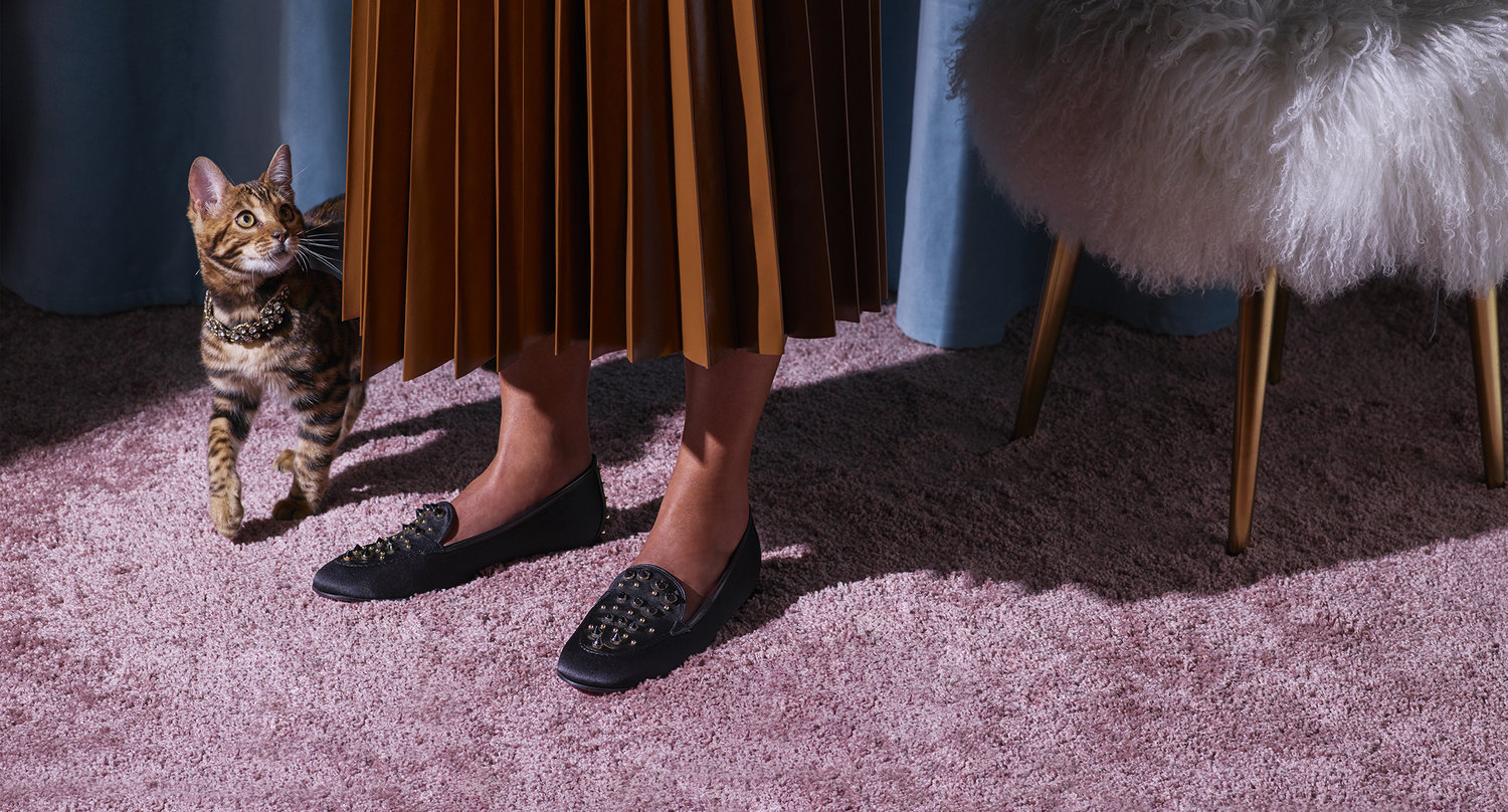 A brown tabby cat wearing a jeweled collar stands next to a woman in black shoes and a brown pleated skirt, on a pink carpet.
