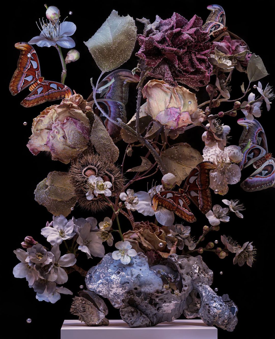 Botanical art still life featuring an arrangement of flowers, branches, and butterflies on a podium against a dark background.