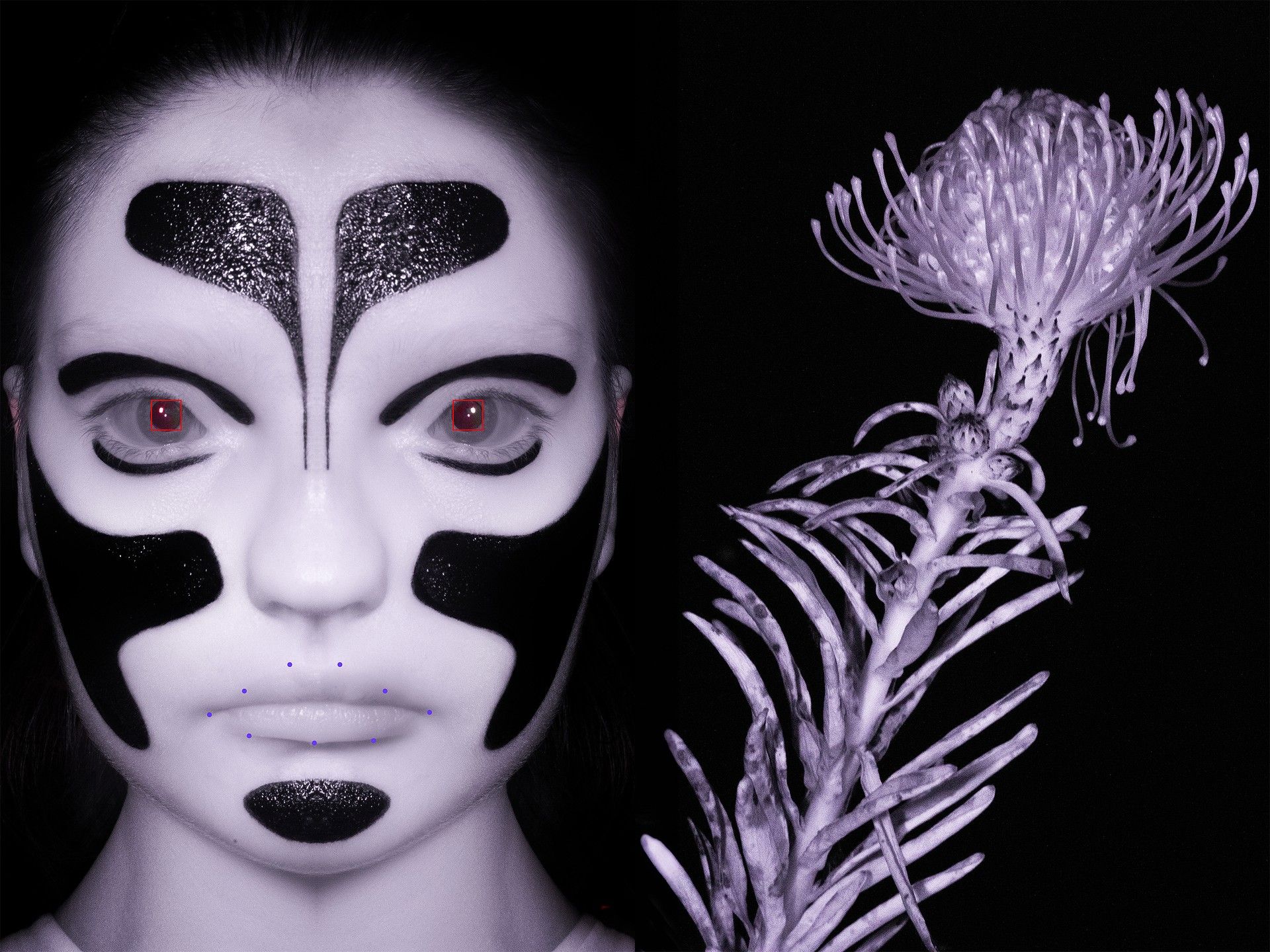 Close-up portrait of a person with decorative face paint next to a plant with an intricate head, set against a black background.