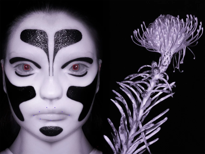 Close-up portrait of a person with decorative face paint next to a plant with an intricate head, set against a black background.