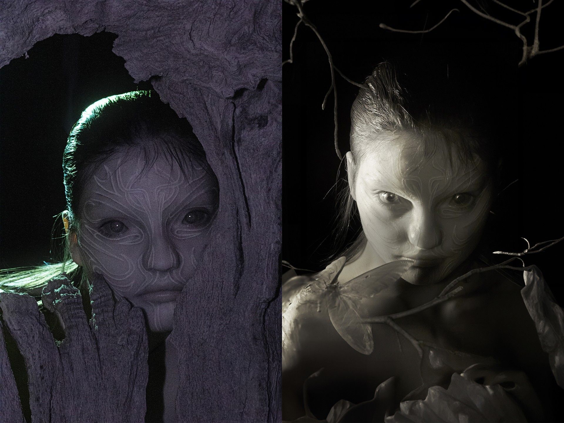 Conceptual portrait of a woman with face paint in two contrasting halves, partially obscured by wood and vine elements, in a studio setting.