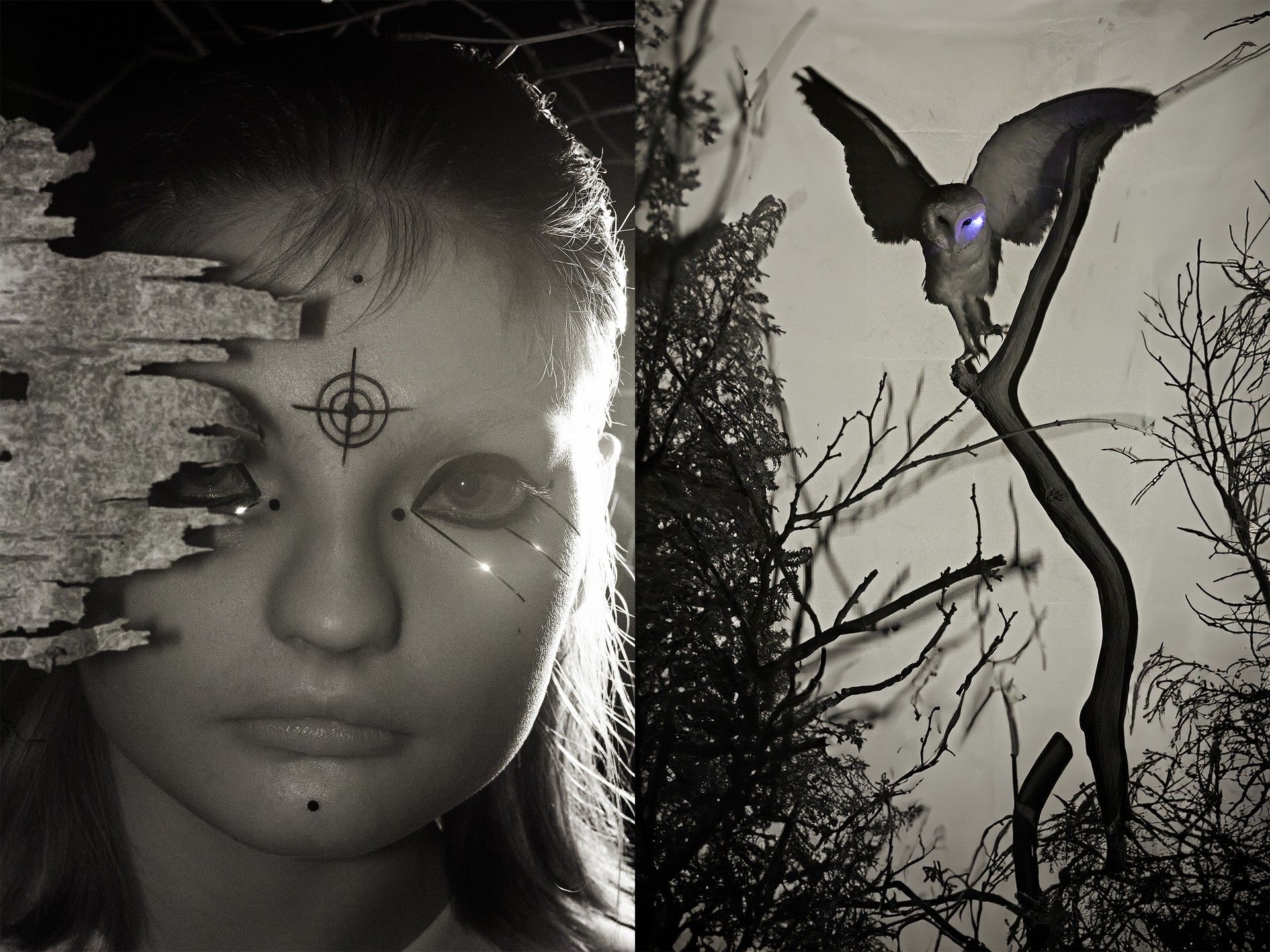 Monochromatic portrait of a child's face adorned with geometric face paint and a fragment of birch bark, alongside a perched owl.