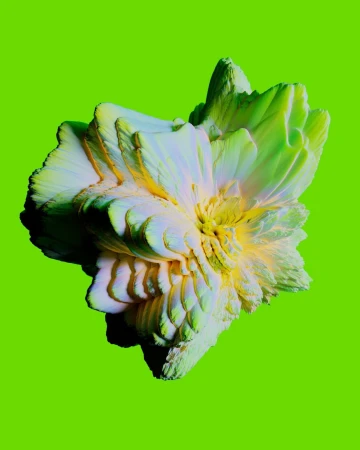 Abstract flower in shades of green and white on a chartreuse backdrop, with layered petal texture, and a textured digital art aesthetic.