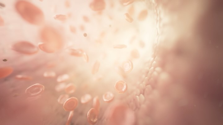 Abstract 3D rendering of red blood cells in a blood vessel with a shallow depth of field, creating a soft, ethereal visual effect.