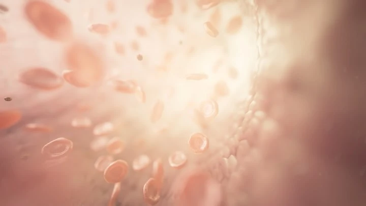 Abstract 3D rendering of red blood cells in a blood vessel with a shallow depth of field, creating a soft, ethereal visual effect.