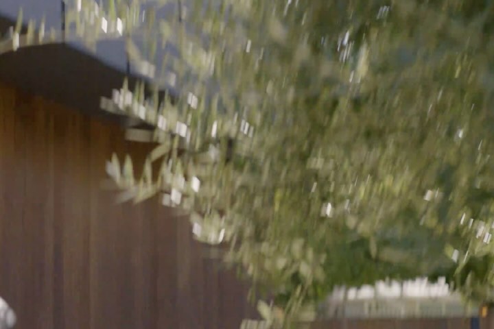 Abstract view through tree leaves showing a brown-panelled exterior wall and a dark roofline, out of focus and with blurred motion.