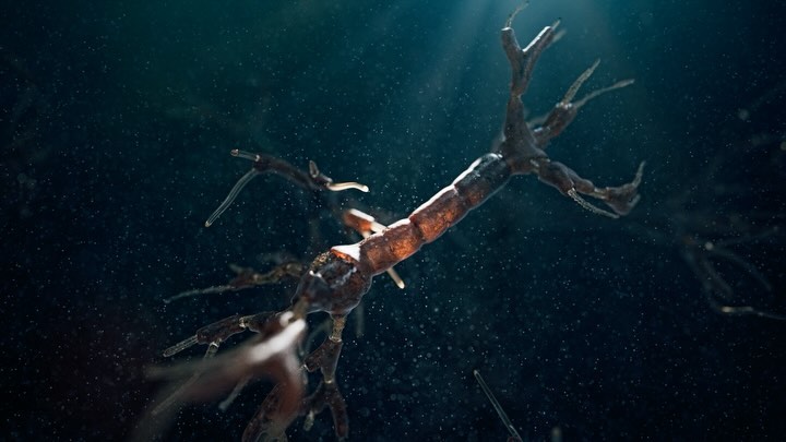 Abstract CGI rendering features a segmented, tubular structure with root-like tendrils in dark environment with diffused light and dust particles.