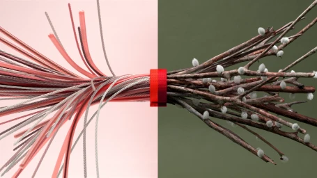 CGI split composition showing bundled wires on the left and pussy willow branches on the right secured by a red strap