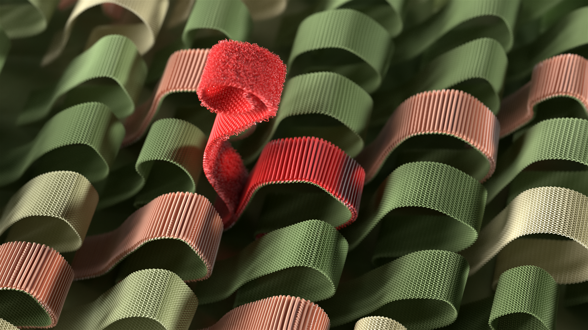 Abstract macro shot of textured ribbons in green and peach colors with one red ribbon curled up as a focal point, low depth of field.