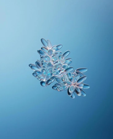 Close-up of a translucent flower-like crystalline structure with petal-like shapes against a graduated blue background.