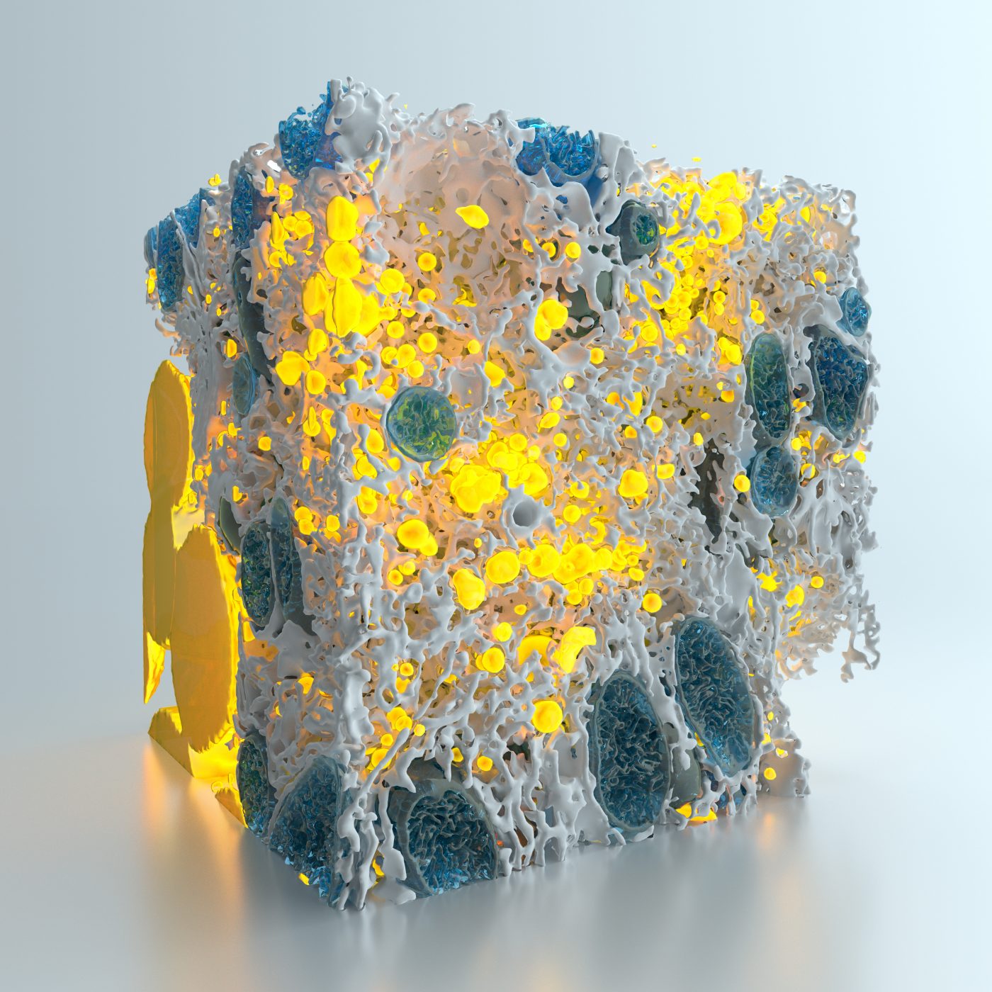 Abstract 3D render featuring an porous off-white cube with yellow and blue accents on a white background with soft shadows, digital art.