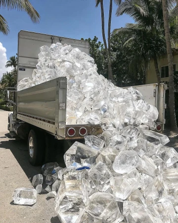 Dump truck filled with large clear ice cubes on a sunny street, with palm trees and a house in the background.