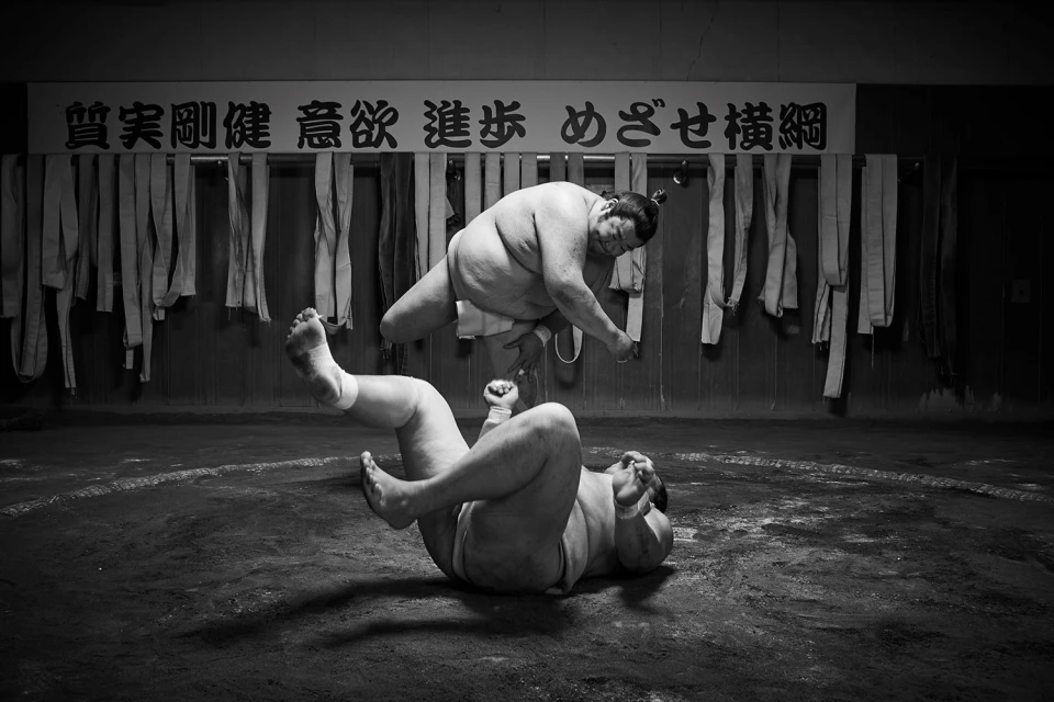 Two sumo wrestlers engaged in a match in an indoor arena with a monochromatic color scheme emphasizing their physical contest.