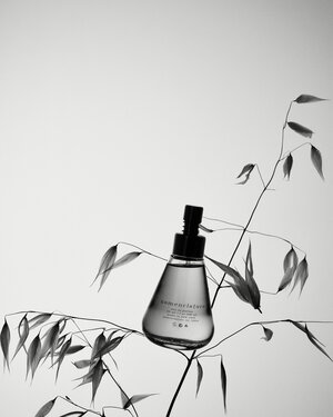 Monochromatic close-up of a clear, cone-shaped glass bottle of essence with a black top, accented by an oat plant on a bright backdrop.