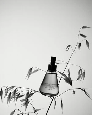 Monochromatic close-up of a clear, cone-shaped glass bottle of essence with a black top, accented by an oat plant on a bright backdrop.