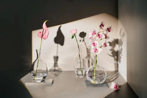 Still life of three vases with pink Anthurium, rose, and orchid flowers, casting shadows on a white background in a corner studio.