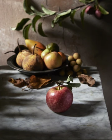 Still life photography of a red apple on a marble surface with a bowl of assorted fruits and dry leaves in soft lighting