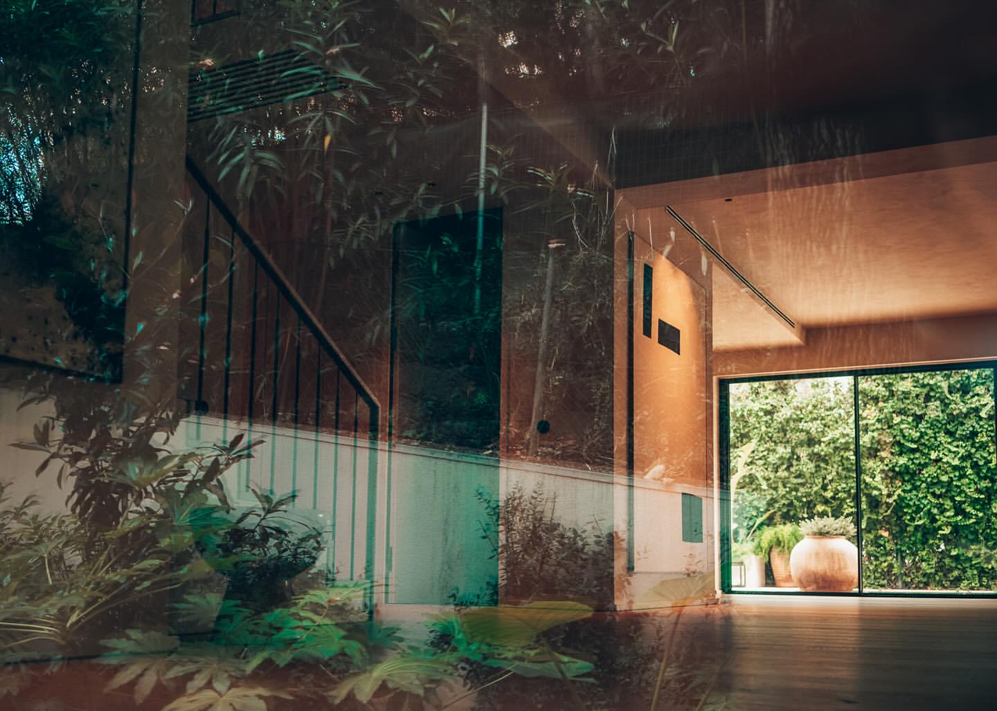 View of an interior with warm brown walls and dark wood floors, an open doorway to a garden with greenery, and sunlight.