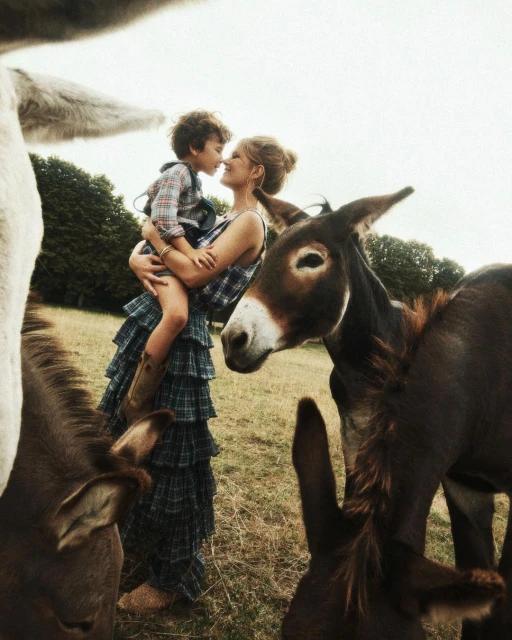 Mother and child embrace surrounded by donkeys in a field, creating a heartwarming nature scene with a blend of family and wildlife.