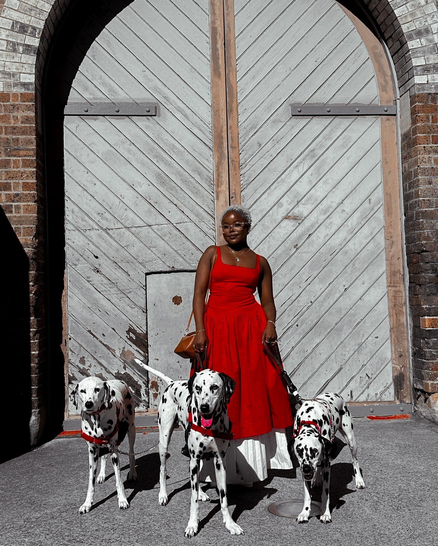 An adult female stands with three Dalmatian dogs in front of a weathered wooden gate, creating a striking contrast with her red dress.