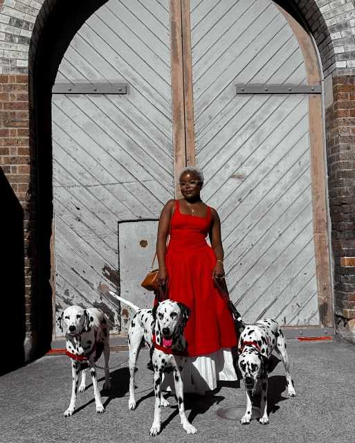 An adult female stands with three Dalmatian dogs in front of a weathered wooden gate, creating a striking contrast with her red dress.