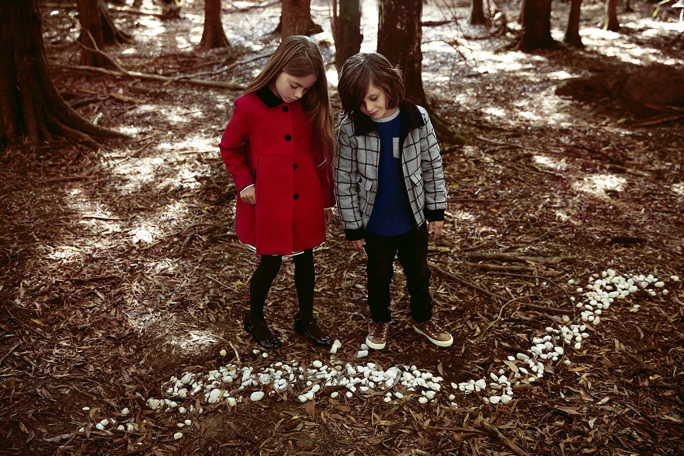 Two children, a girl in a red coat and a boy in a grey jacket, stand in a wooded area surrounded by trees and leaves. Rocks line the ground.